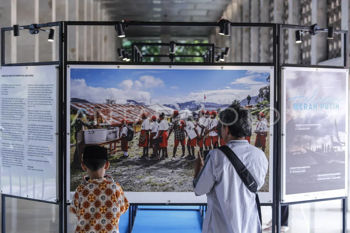 Haluan Merah Putih: Pameran sebagai Ruang Bercerita Sejarah